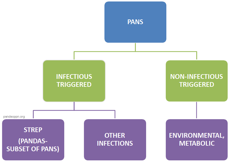 What causes PANDAS PANS?