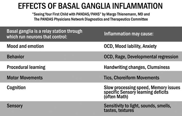 Basal ganglia inflammation chart